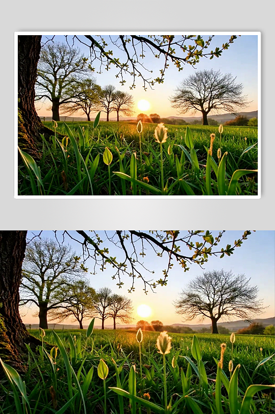 朝阳数字艺术AI春天春季风景MP4视频-众图网