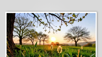 朝阳数字艺术AI春天风景MP4视频-众图网