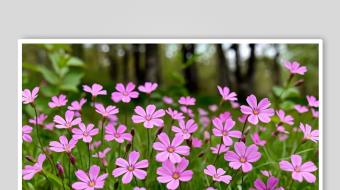 粉色小花数字艺术AI春天风景MP4视频-众图网