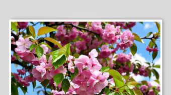 近景樱花数字艺术AI春天风景MP4视频-众图网