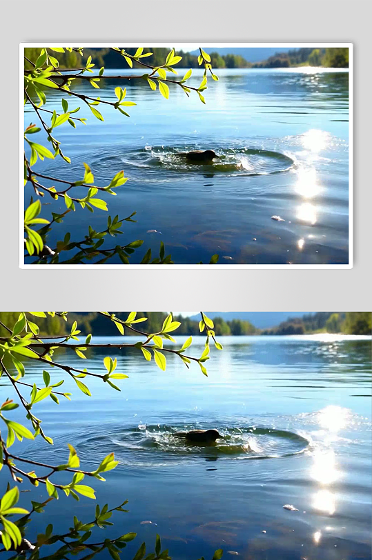 特写湖面数字艺术AI春天春季风景MP4视频-众图网