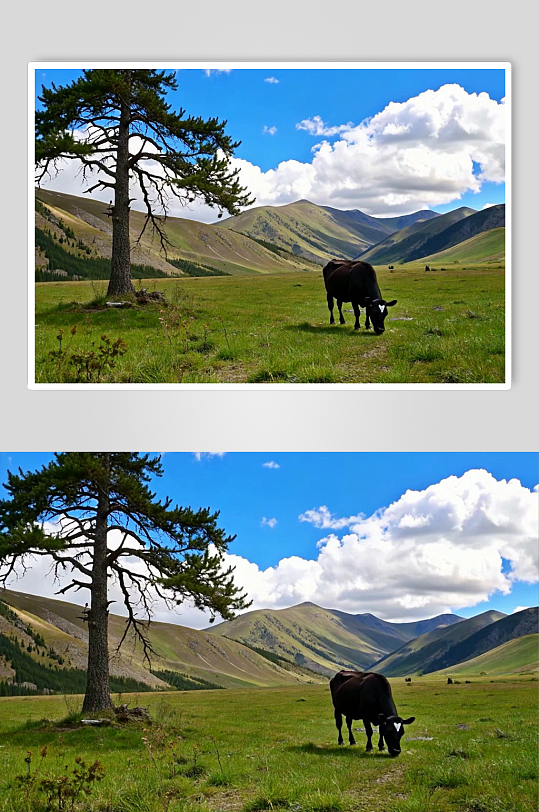 草原数字艺术AI春天春季风景MP4视频-众图网