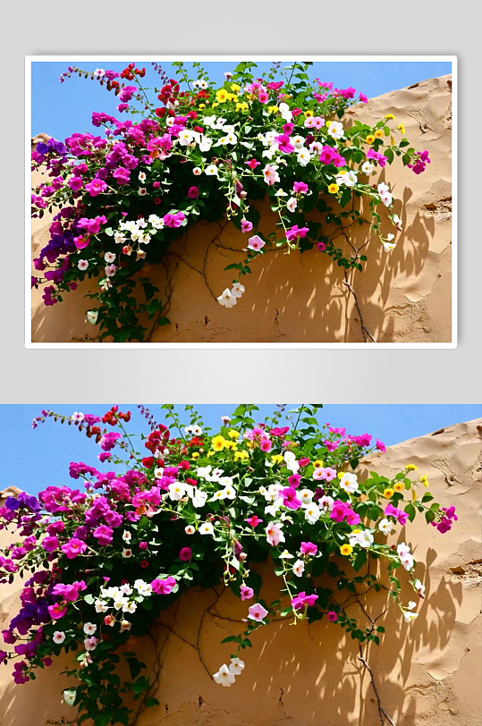 花墙数字艺术AI春天春季风景MP4视频-众图网