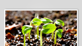 绿芽数字艺术AI春天风景MP4视频-众图网