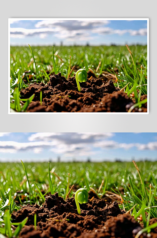 萌芽数字艺术AI春天春季风景MP4视频-众图网