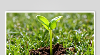 嫩芽数字艺术AI春天风景MP4视频-众图网