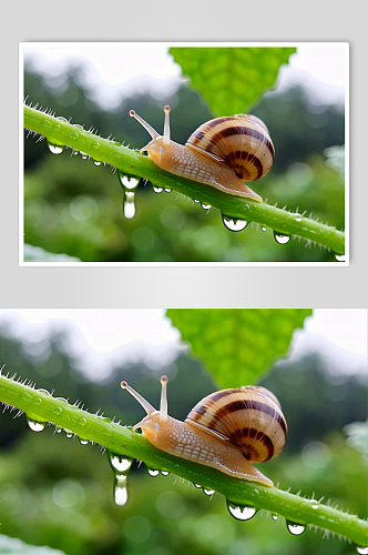 蜗牛数字艺术AI春天春季风景MP4视频