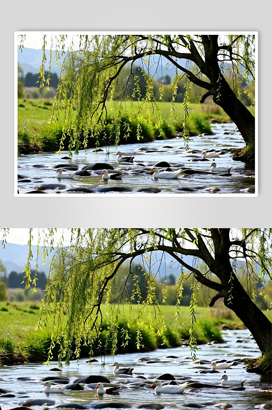 溪流数字艺术AI春天春季风景MP4视频-众图网