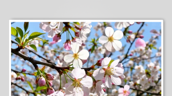 樱花数字艺术AI春天风景MP4视频-众图网