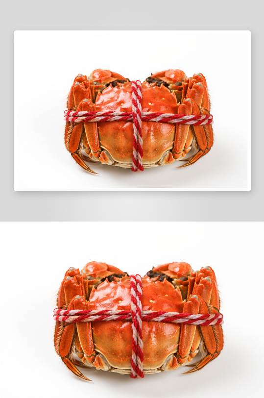 金秋蟹礼大闸蟹螃蟹美食摄影图-众图网