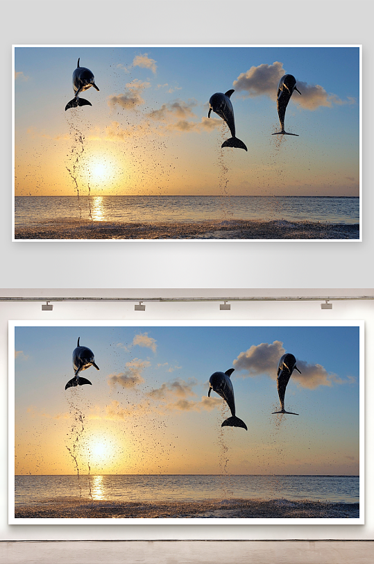 三只海豚跃出水面-众图网