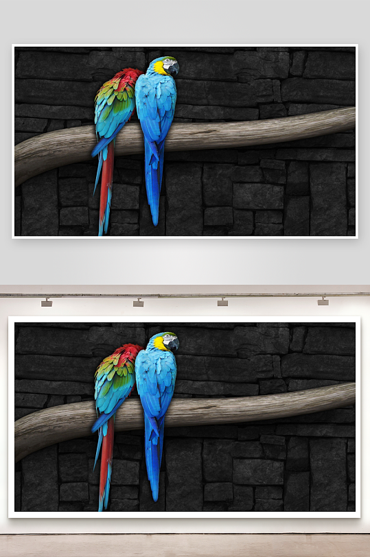 两只色彩斑斓鹦鹉栖息枝头-众图网
