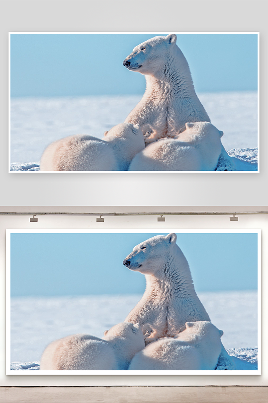 北极熊母子雪地依偎-众图网