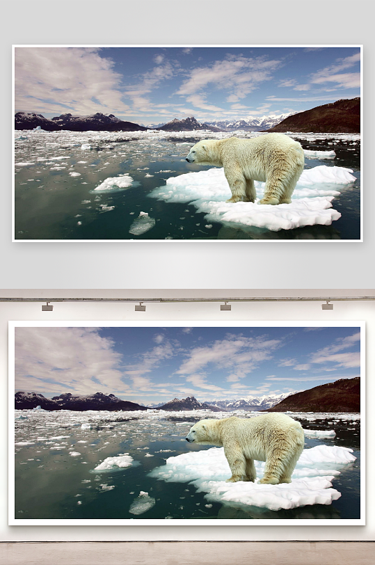 北极熊站在浮冰上-众图网