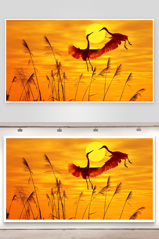 夕阳下飞鹤与芦苇剪影-众图网