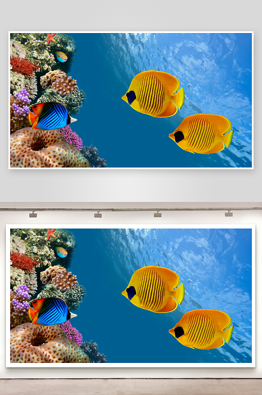 海底珊瑚礁热带鱼群-众图网