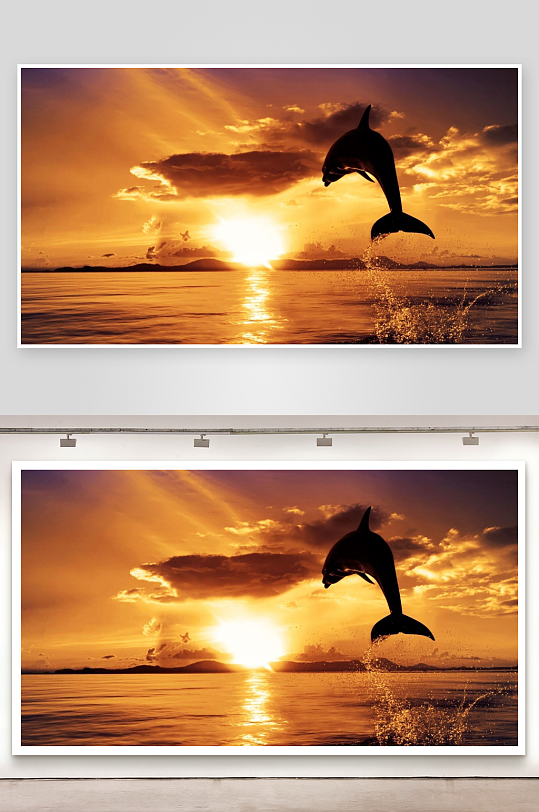 海豚跃出水面夕阳美景-众图网