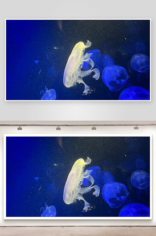 深海水母漂浮游动-众图网