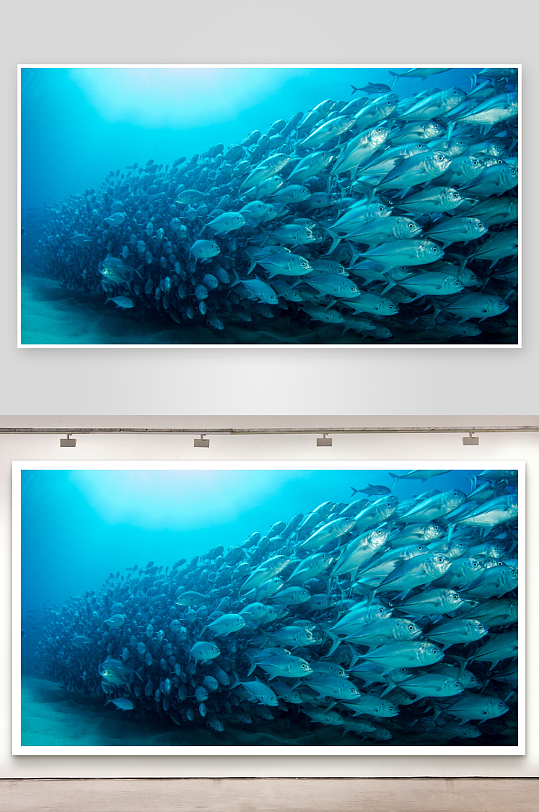 深海鱼群游动壮观景象-众图网