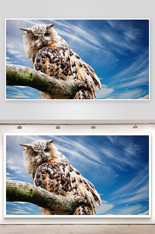 猫头鹰栖息蓝天树枝之上-众图网