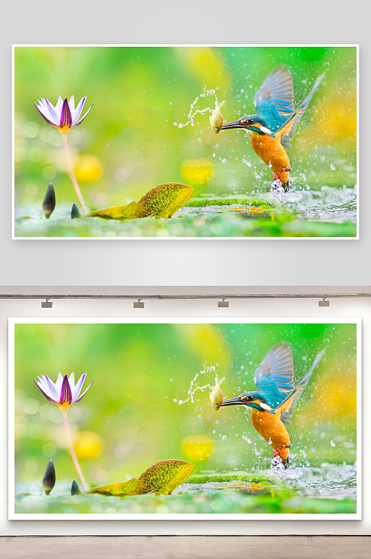 翠鸟捕食瞬间水花四溅-众图网