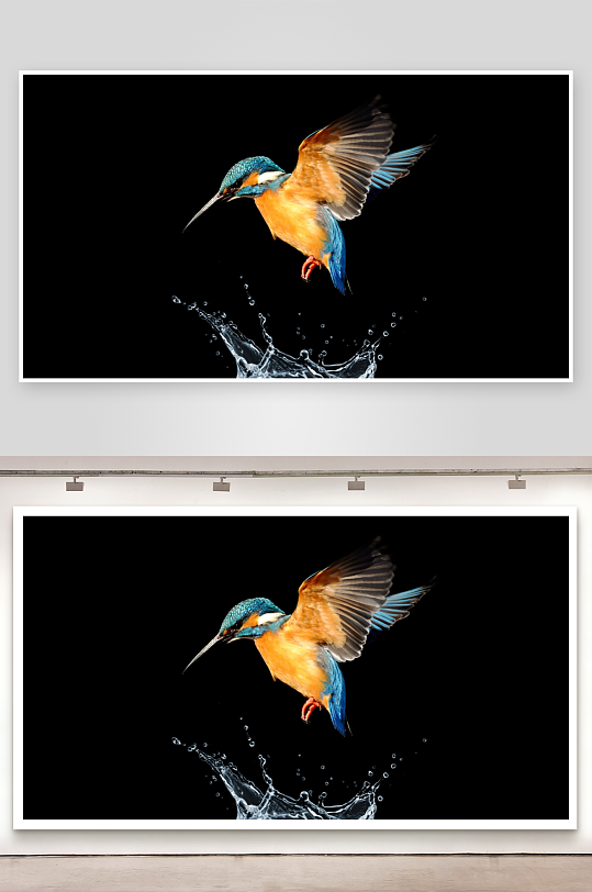 翠鸟飞溅水花瞬间-众图网