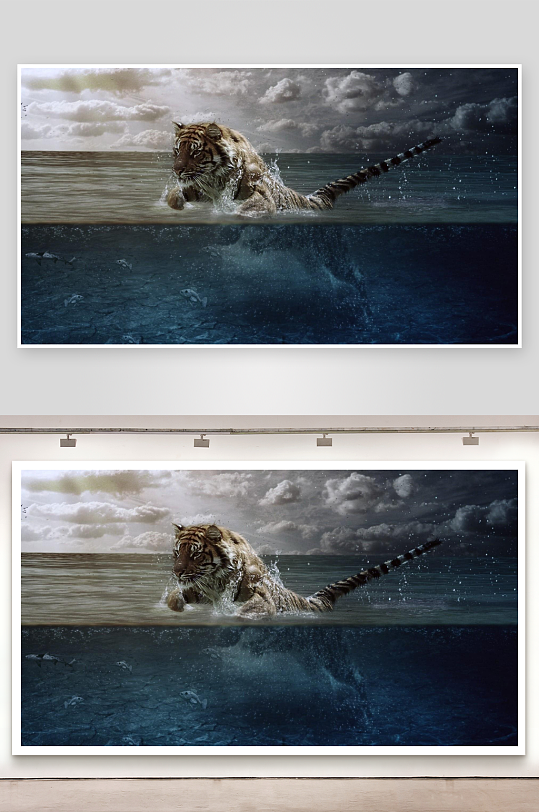 老虎水中奔跑震撼画面-众图网