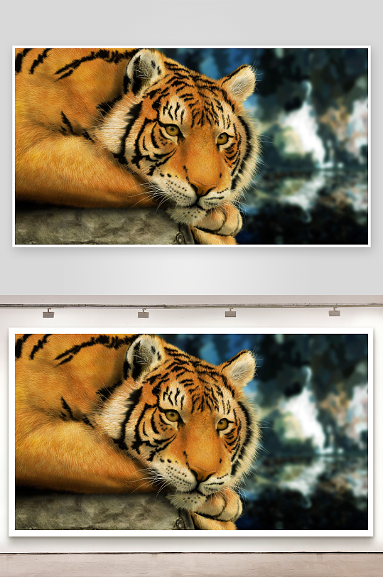 老虎静卧岩石凝视远方-众图网