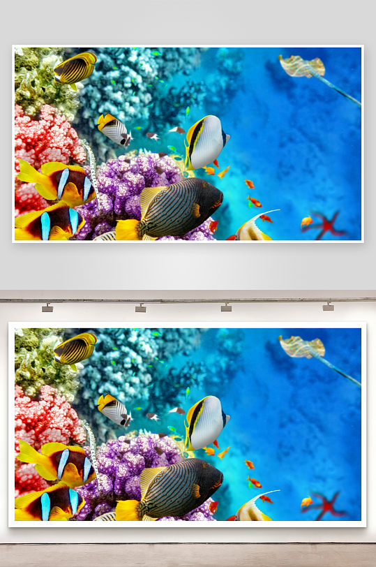 色彩斑斓的海底珊瑚与鱼群-众图网