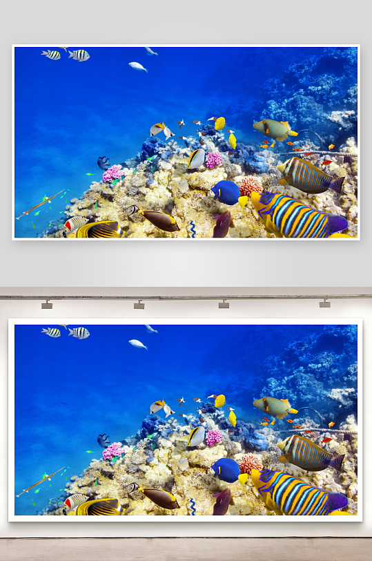 色彩斑斓的海底珊瑚礁与鱼群-众图网