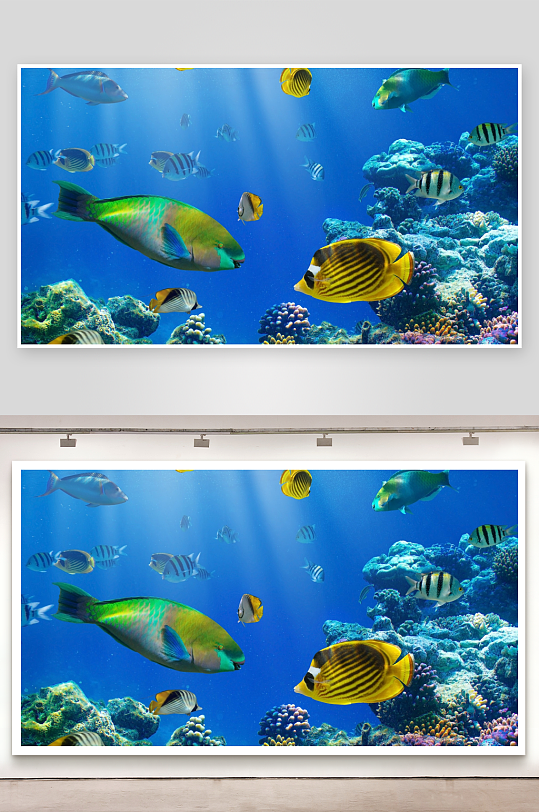 色彩斑斓的海底鱼群与珊瑚礁-众图网