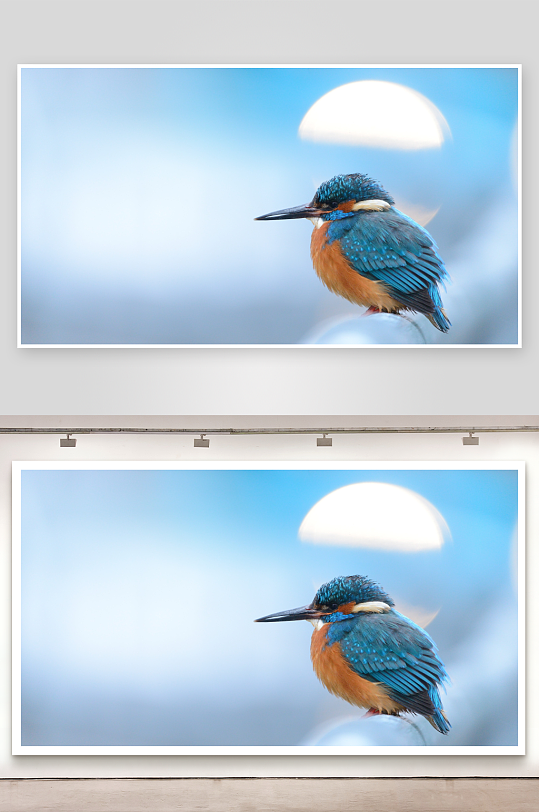 蓝绿色小鸟栖息于枝头-众图网