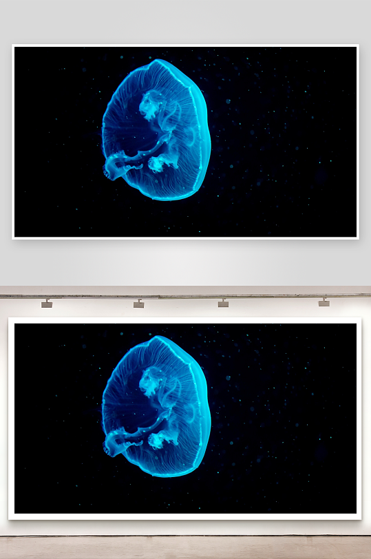 蓝色水母在深海中漂浮-众图网