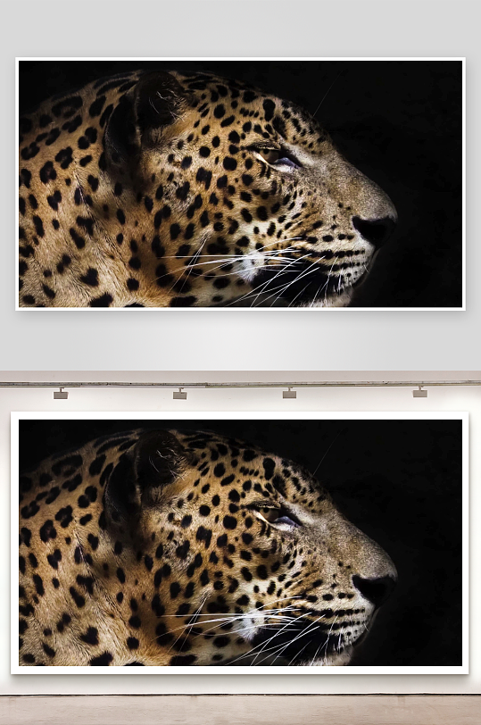 豹子特写斑点与胡须细节-众图网