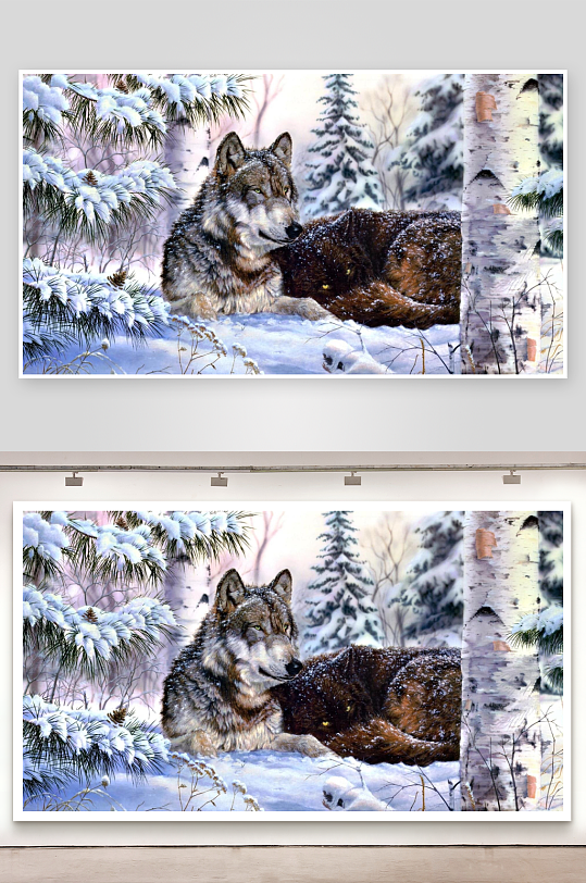 雪林中两只狼静卧休憩-众图网