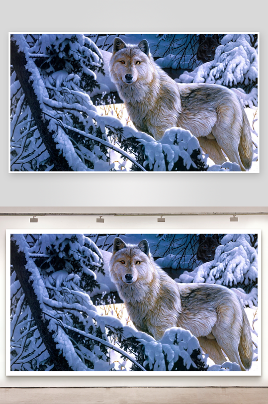 雪林中的两只狼照片摄影-众图网