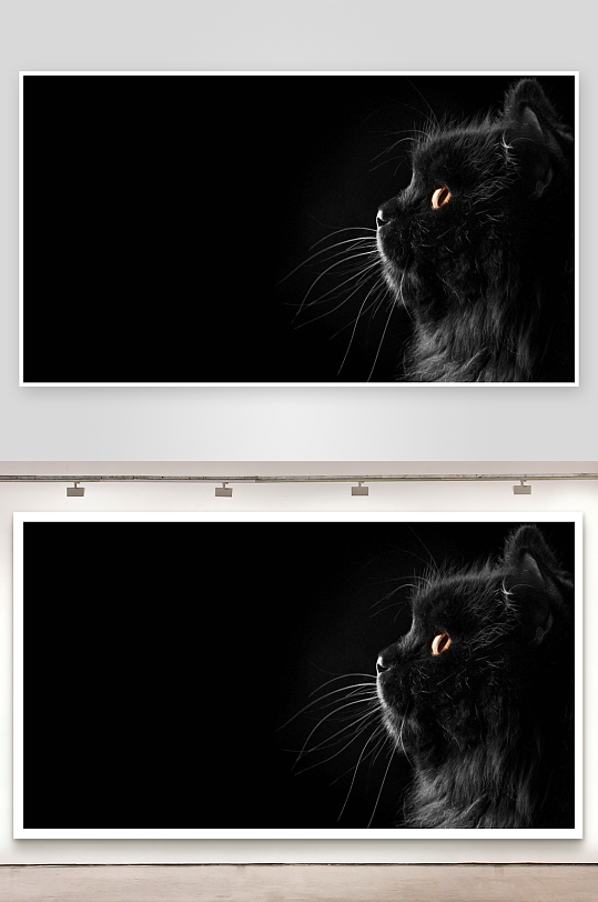 黑猫侧脸特写眼神锐利-众图网