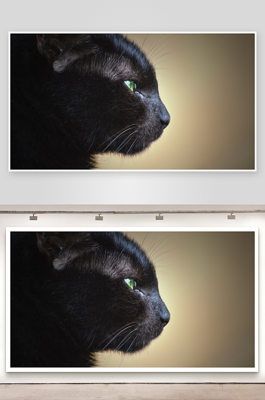 黑猫侧脸特写绿眼迷人-众图网