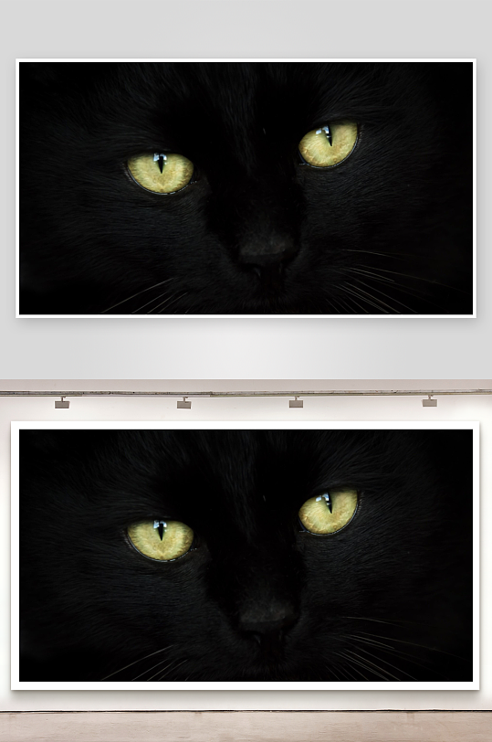 黑猫凝视神秘双眼特写-众图网