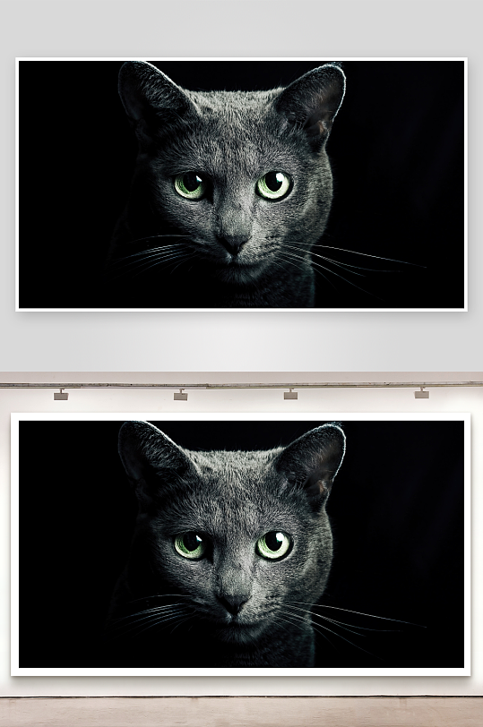 黑猫凝视神秘绿眸特写-众图网