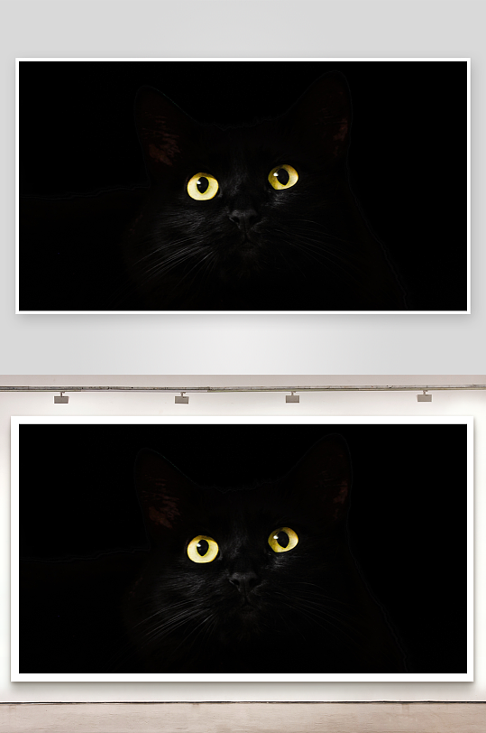 黑猫凝视神秘黄眸特写-众图网
