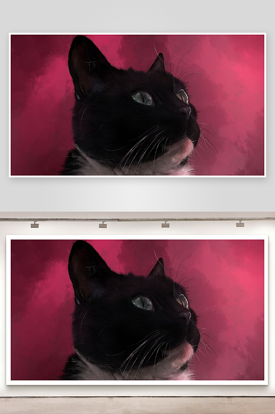 黑猫凝视远方照片摄影-众图网