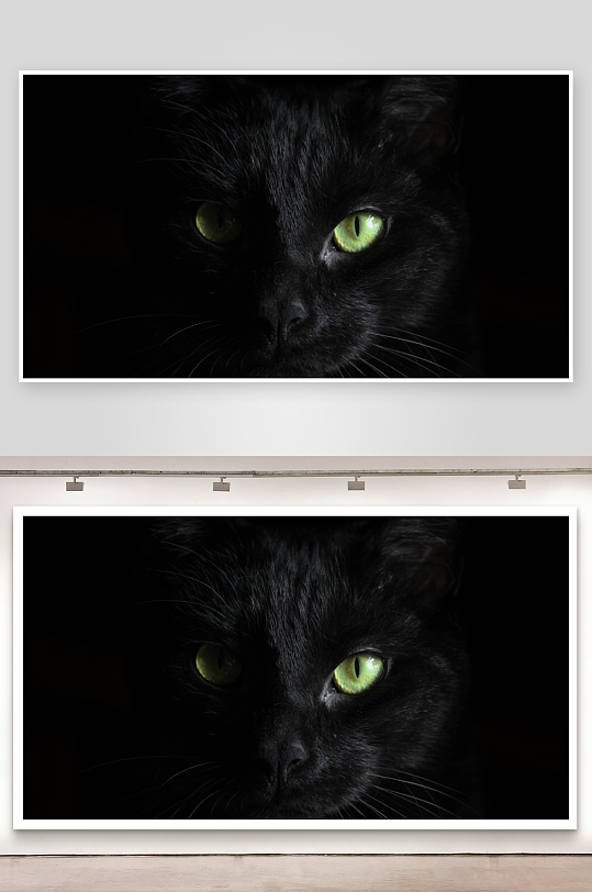 黑猫绿眼特写神秘凝视-众图网