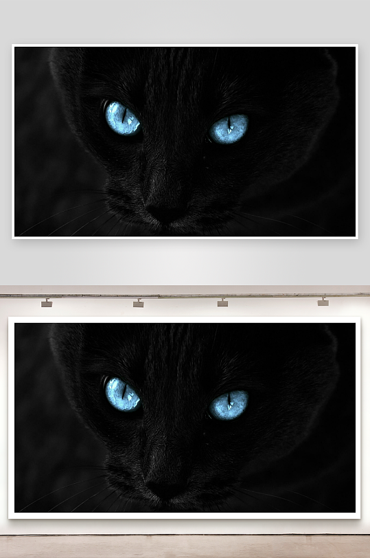 黑猫蓝眼特写神秘深邃-众图网