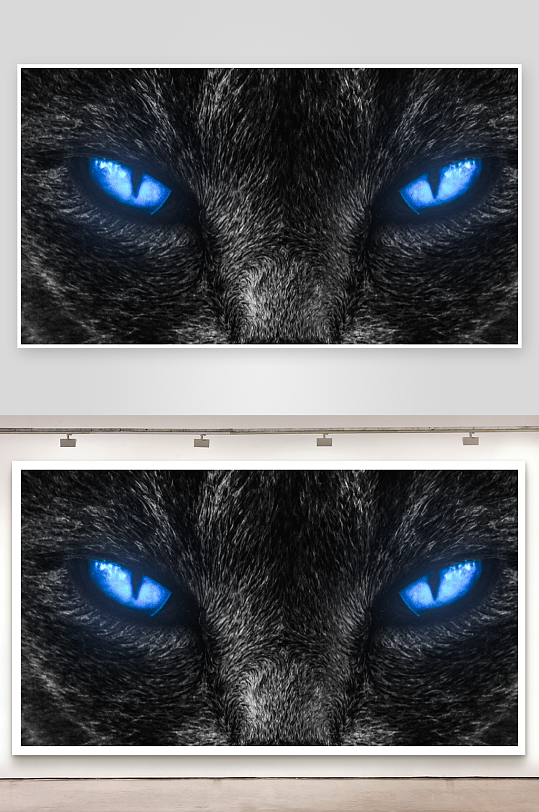 黑猫蓝眼特写神秘而深邃-众图网