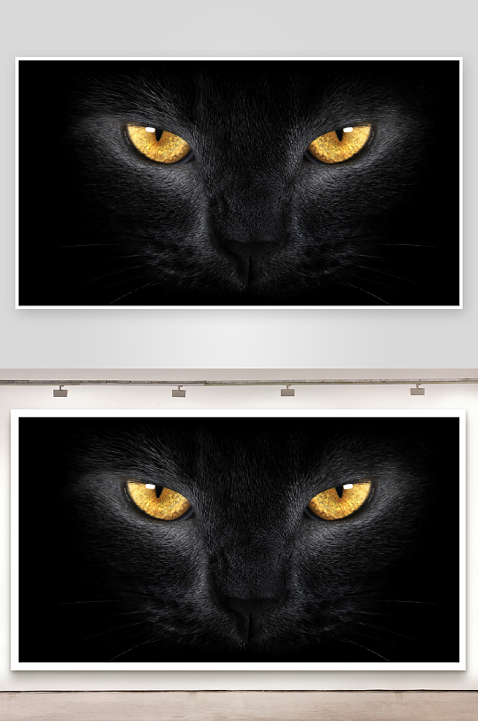黑猫金瞳特写眼神锐利-众图网
