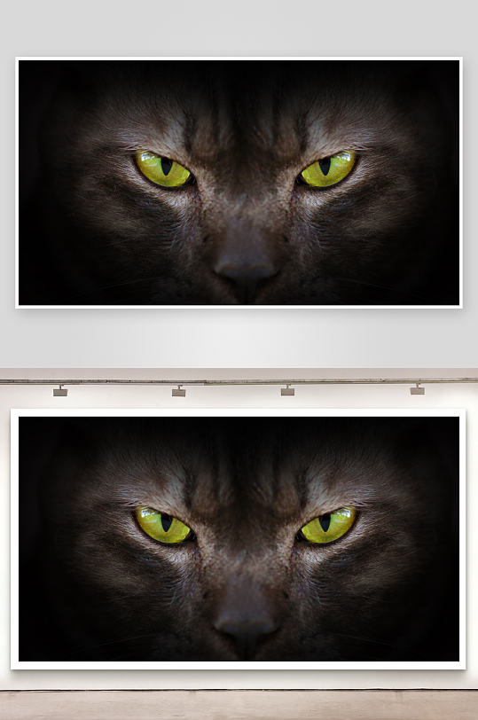 黑猫锐利黄眼特写-众图网