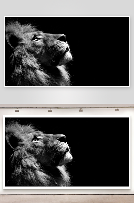 黑白狮子侧脸特写-众图网