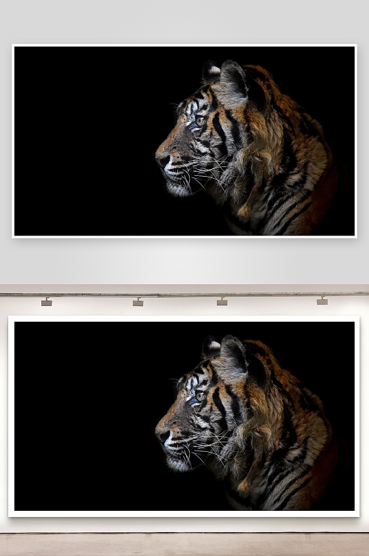 黑背景下的老虎侧脸特写-众图网