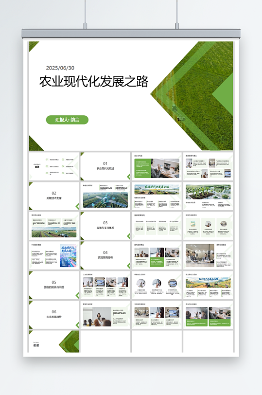 农业现代化发展之路